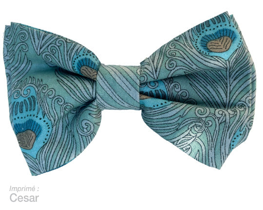 Barrette