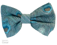 Barrette