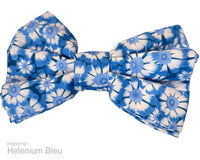 Barrette