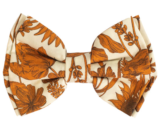 Barrette