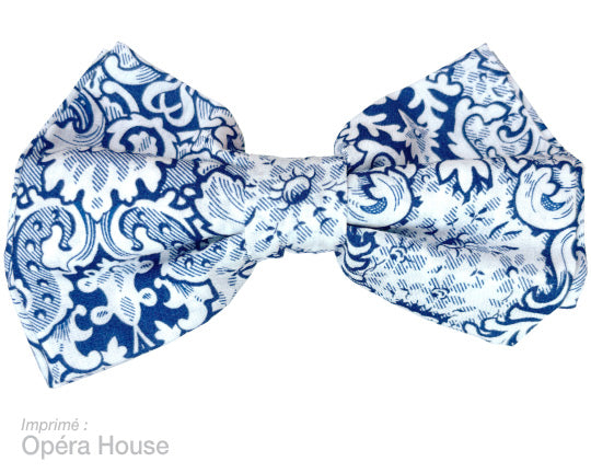 Barrette