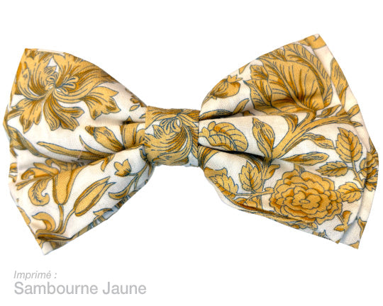 Barrette